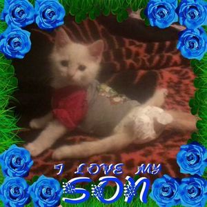 Meet your Posher, Jeannette